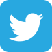 twitter-icon